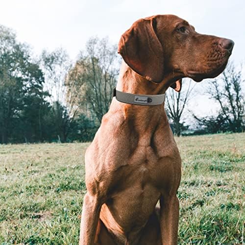 Яка Coolsnail за кучета, Издръжлив Найлон врат с регулируема мека неопреновой подплата, Отразяваща сверхпрочный нашийник