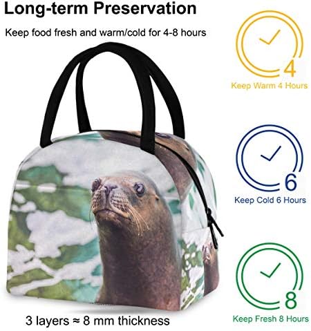 Случайна чанта за обяд Дамски - Sea Lions Beach Голяма Запечатани Чанта за обяд с плечевыми ремъци за пикник по време