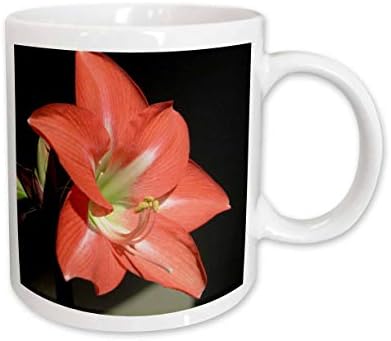 Керамична чаша 3dRose Flowers Amaryllis, 11 Грама